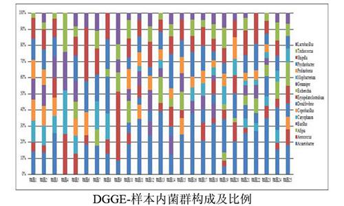 20 DGGE-樣本內菌群構成及比例